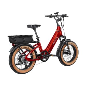 E-Cargo Bike