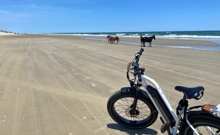 Electric Bikes