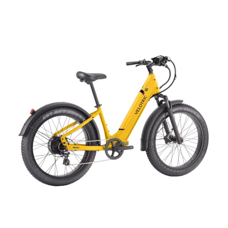 E-Beach Cruiser - Image 2