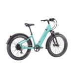 E-Beach Cruiser