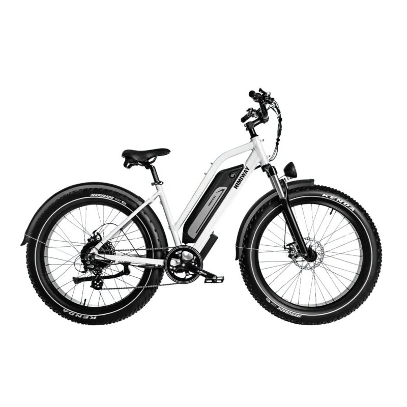 E-Beach Cruiser - Image 4